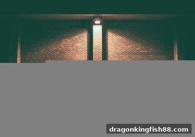 龙王捕鱼：奇幻玩法进化论与社群生态重构