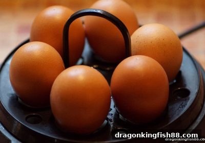 龙王捕鱼赋能：腾讯分分彩平台互动玩法升级与赛事直播新看点