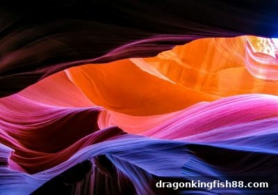 龙王捕鱼深度解析：电子游戏特殊符号的运用与玩法全攻略