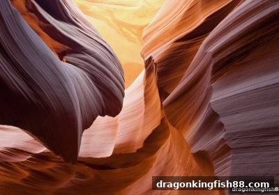 龙王捕鱼带你解锁奇幻电子游艺：玩法进化与体验指南