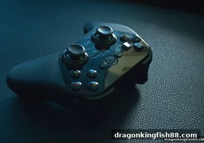 波胆玩法精讲：龙王捕鱼平台上的精确预测与风险把控