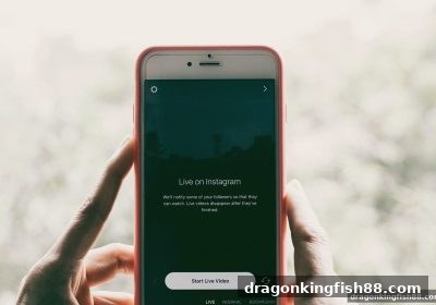 龙王捕鱼：当广东麻将遇上足球直播，跨界娱乐新范式