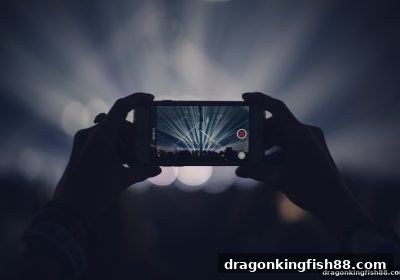 龙王捕鱼：即时比分工具与赛事策略的全方位进化指南